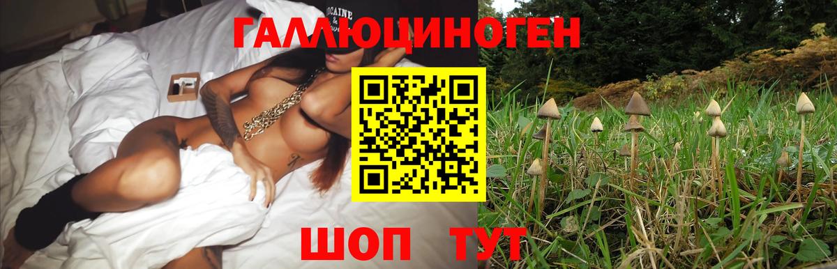 Псилоцибиновые грибы мухоморы  Вход с VPN  Лесной  Псилоцибиновые грибы Magic Shrooms 